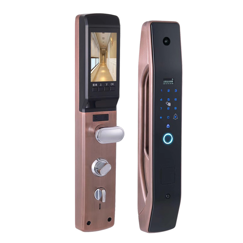 HanDaily Easy to Install Intel - đánh giá và giá Smart Home Door Lock