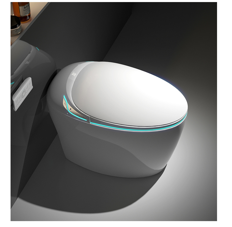 Intelligent Toilet,Smart Toile - đánh giá và giá Smart Home Yellow